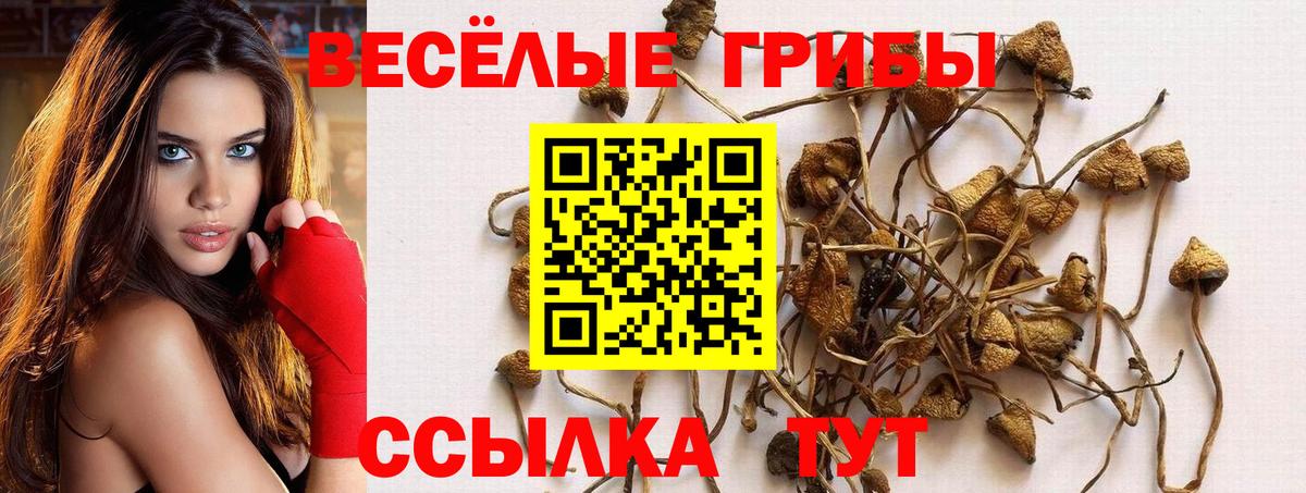 Псилоцибиновые грибы Psilocybine cubensis Гусь-Хрустальный