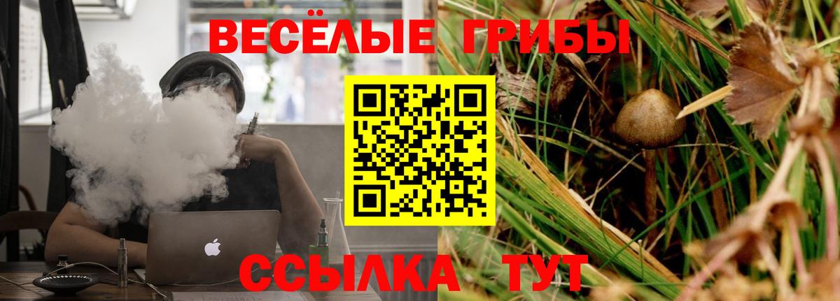 Псилоцибиновые грибы ЛСД  Вход с VPN  Гусь-Хрустальный  Галлюциногенные грибы ЛСД 