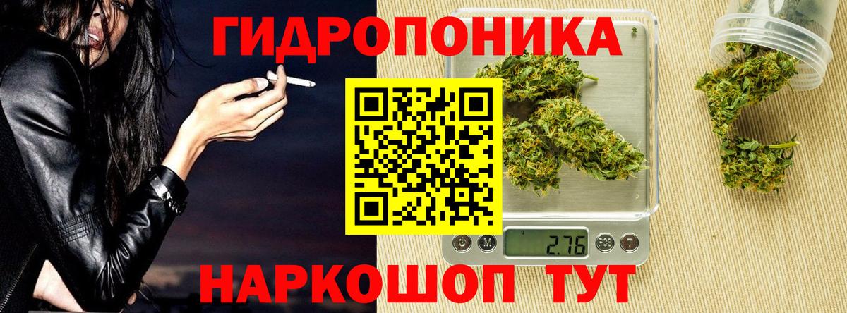 Бошки марихуана SATIVA & INDICA  Конопля AK-47  Гусь-Хрустальный  Вход с VPN 